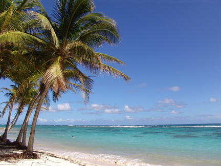 	Plage de Petite Anse	