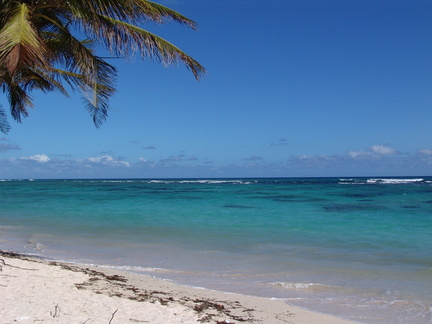 	Plage de Petite Anse	