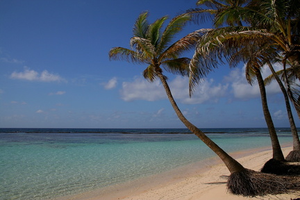 	Plage de Petite Anse	