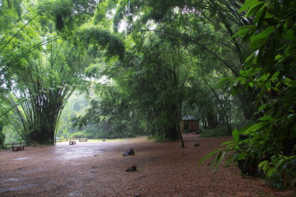 	Dark View Falls	