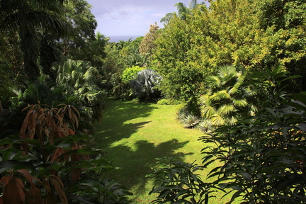 	Vue sur le jardin	