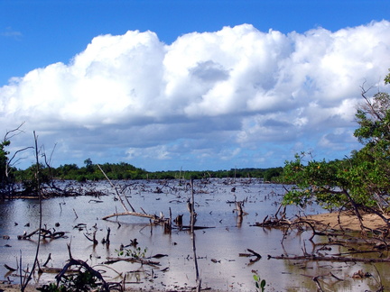 	Etang de bois sec	