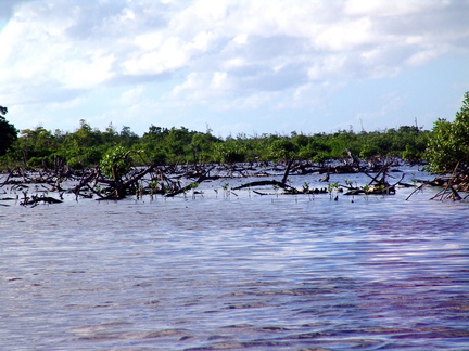 	Etang de bois sec	