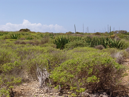 	Sentier de découverte	