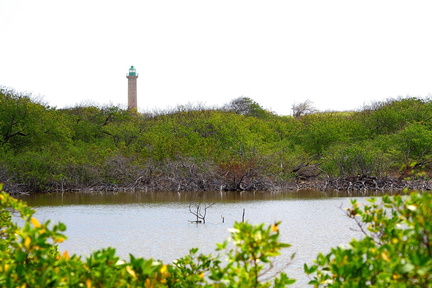 	Salines	