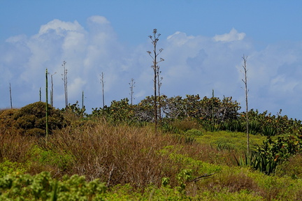 	Sentier de découverte	