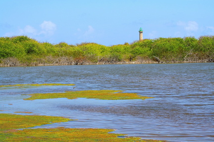 	Salines	