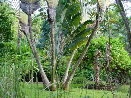 	Parc archéologique	